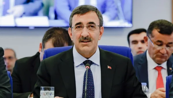 Cevdet Yılmaz’dan TL açıklaması