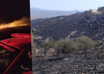 Arjantin’de orman yangını : 600 kişi tahliye edildi