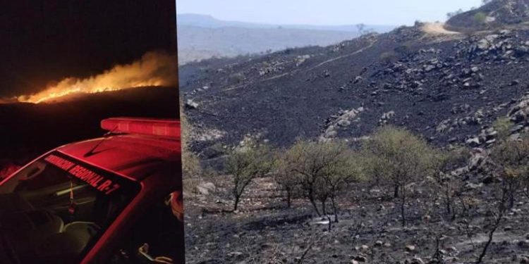 Arjantin’de orman yangını : 600 kişi tahliye edildi