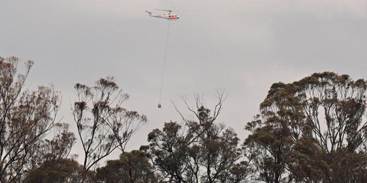 Avustralya’da 5 bin hektardan fazla alan kül oldu
