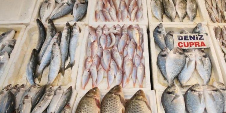 Balık fiyatları taban düzeylere düştü