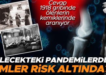 Gelecekteki pandemilerde kimler risk altında? Bilim insanları yanıtı 1918 gribinde ölenlerin kemiklerinde arıyor