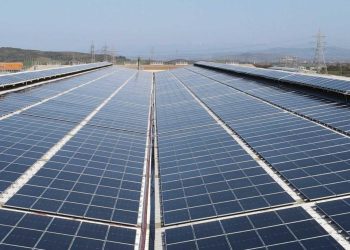 Global rekabette yeni olağan sürdürülebilirlik