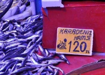 Hamsi fiyatlarında fırtına tesiri
