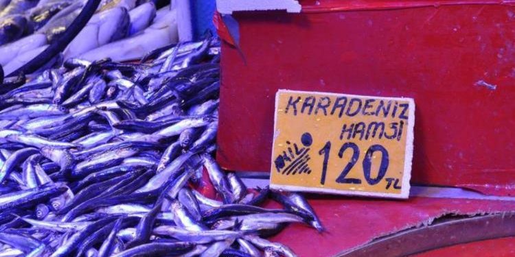 Hamsi fiyatlarında fırtına tesiri