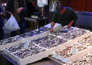 Hamside dönem bereketli geçiyor