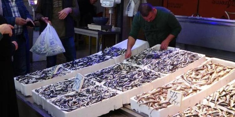 Hamside dönem bereketli geçiyor