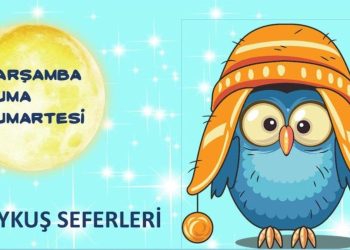 İZDENİZ BAYKUŞ SEFER SAATLERİ 2023-2024: İzmir kış vapur seferleri için saat duyurusu paylaşıldı