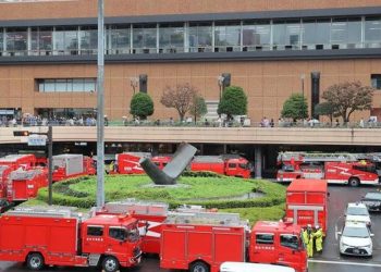 Japonya’da kimyasal husus paniği