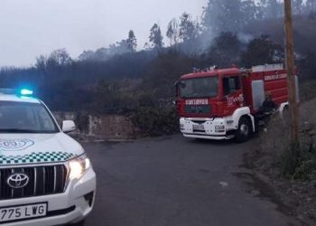 Kanarya Adaları’nda 3 bin kişi tahliye edildi