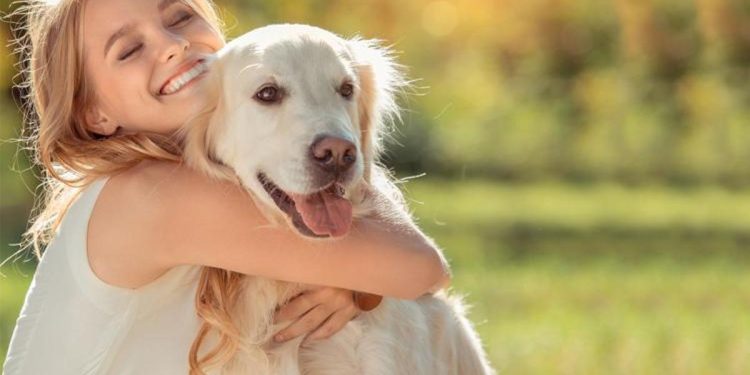 Köpek sahipleri daha çok bağlanıyor