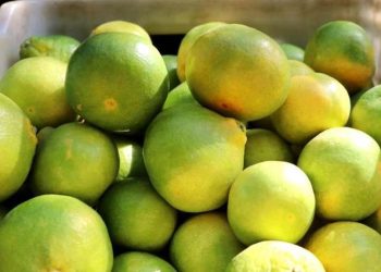 Mandalinada yüksek randıman var ve fiyat düşük