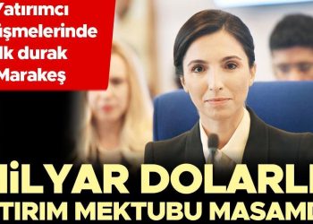 ‘Milyar dolarlık yatırım mektubu masamda’