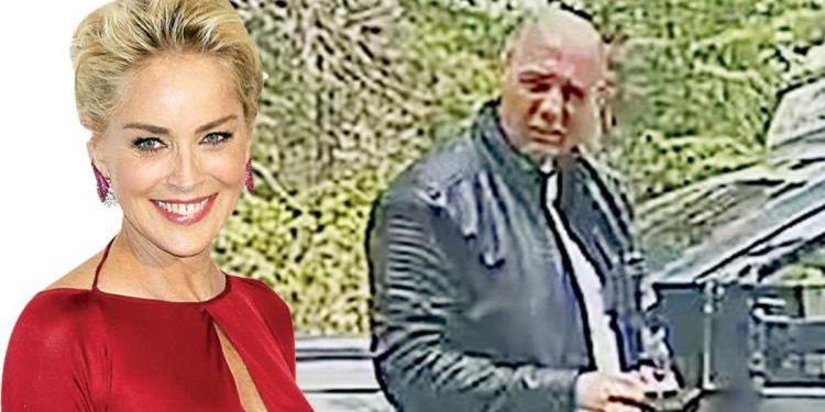 Sharon Stone’un saplantılı hayran kabusu