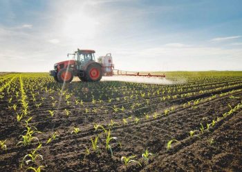 Tarım üretici enflasyonu yıllık 71.96 oldu