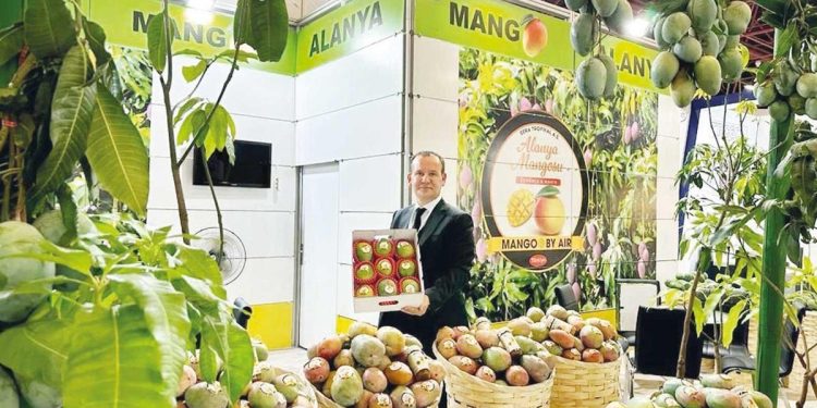 ‘Türk mangosu marka olacak’