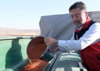 Bakan Yumaklı: Sertifikalı tohum üretimi on kat arttı