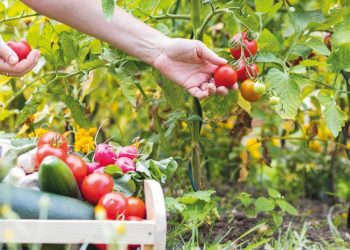 Çevreciler yönetmeliğin iptalini istedi… Çevreciler yönetmeliğin iptalini istedi