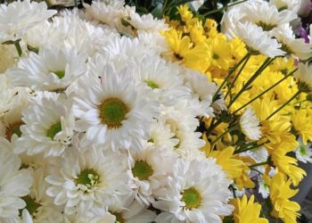 Çiçekçiler 10 Kasım’a hazırlanıyor