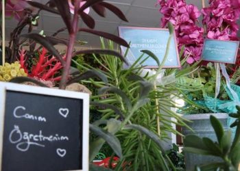 Çiçekçilerde Öğretmenler Günü mesaisi