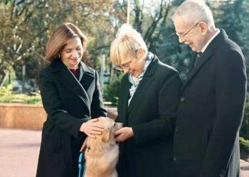 Codrut üzücü ısırdı