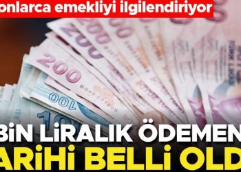 Emeklilere 5 bin liralık ödemenin tarihi belirli oldu