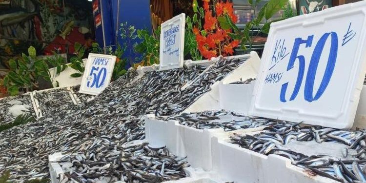 Hamsi 50 liraya düştü