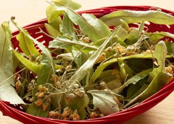 Ihlamur fiyatları yüksek seyrediyor