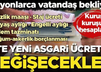 İşsizlik maaşı, staj fiyatı, GSS primi, BES kesintisi, doğum-askerlik borçlanması, 65 yaş aylığı, engelli aylığı, kıdem tazminatı… İşte yeni taban fiyatla değişecekler…