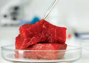 İtalya’da yapay et yasaklandı