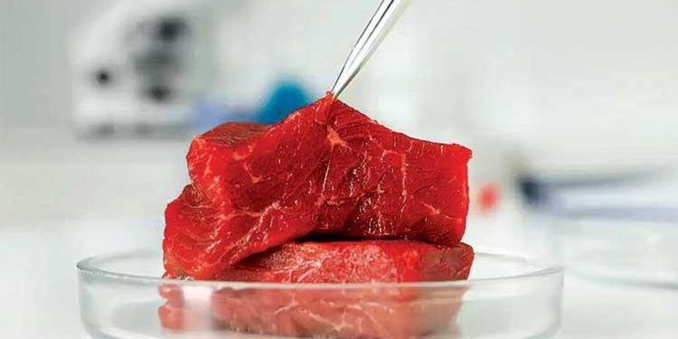 İtalya’da yapay et yasaklandı