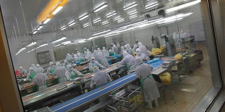 Japonya’da kuş gribi alarmı… 72 bin kümes hayvanı itlaf edilecek