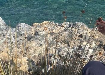 Koparmanın cezası 245 bin TL! Görüldüğü an ceza kesilecek..