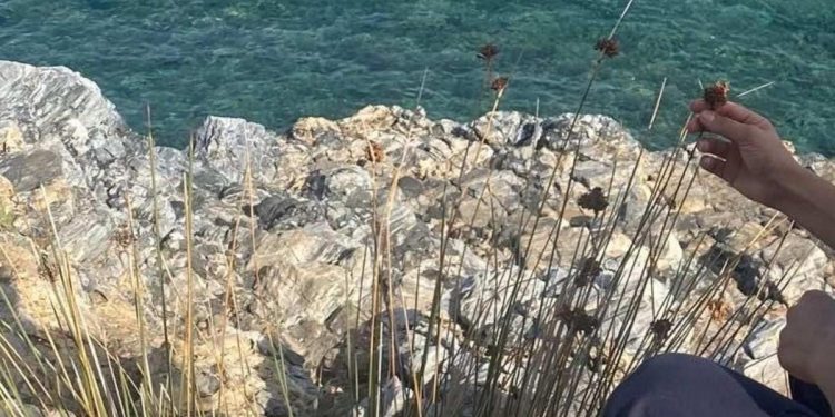 Koparmanın cezası 245 bin TL! Görüldüğü an ceza kesilecek..