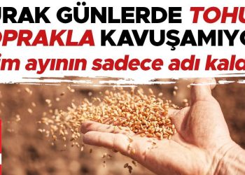 Kurak günlerde tohum toprakla kavuşamıyor… Ekim ayının yalnızca ismi kaldı