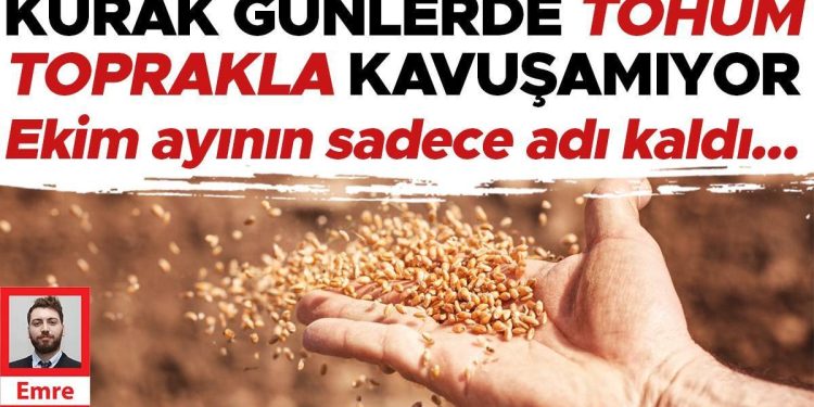 Kurak günlerde tohum toprakla kavuşamıyor… Ekim ayının yalnızca ismi kaldı