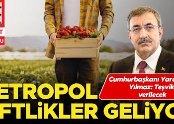 Metropol çiftlikler geliyor