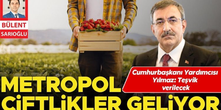 Metropol çiftlikler geliyor