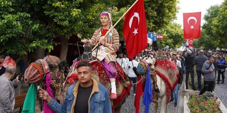 Milas Zeytin Hasadı Şenliği başlıyor