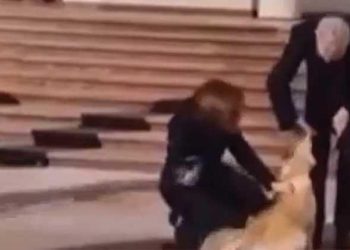 Moldova Cumhurbaşkanı’nın köpeği Avusturya Cumhurbaşkanı’nın elini ısırdı