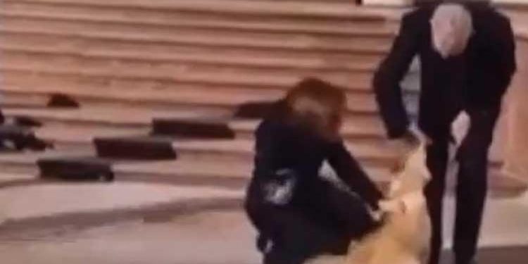 Moldova Cumhurbaşkanı’nın köpeği Avusturya Cumhurbaşkanı’nın elini ısırdı