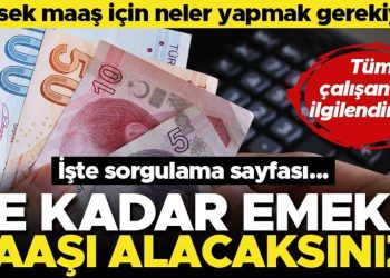 Ne kadar emekli maaşı alacaksınız? İşte sorgulama sayfası… Yüksek maaş için neler yapmak gerekiyor?