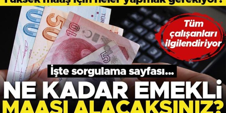 Ne kadar emekli maaşı alacaksınız? İşte sorgulama sayfası… Yüksek maaş için neler yapmak gerekiyor?