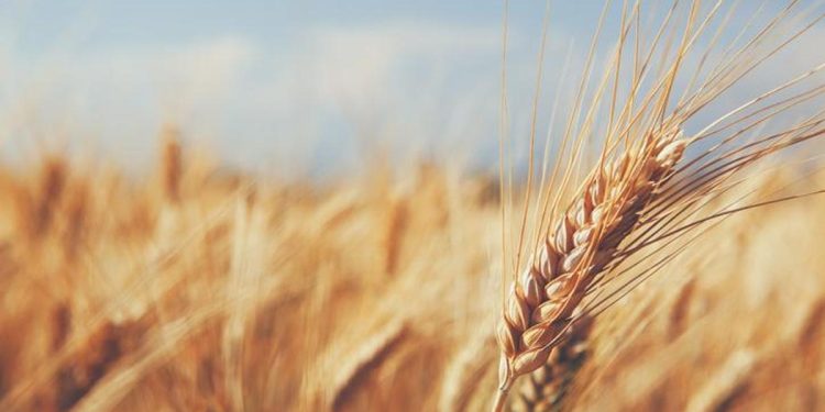 Öşür vergisi ile ilgili bilgiler | Toprak eserlerinden alınan zekata ne denir?