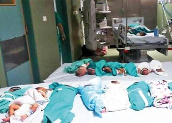 Şifa bebekleri tahliye bekliyor