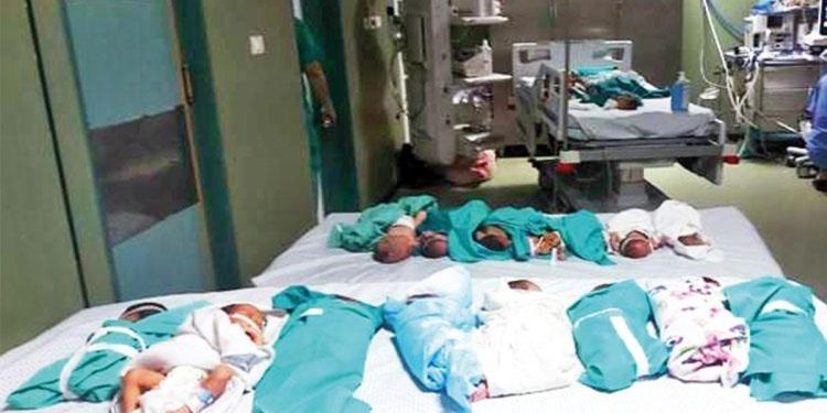 Şifa bebekleri tahliye bekliyor