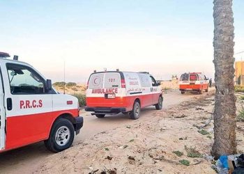 Şifa’nın bebekleri tahliye edildi