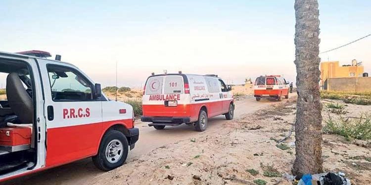 Şifa’nın bebekleri tahliye edildi