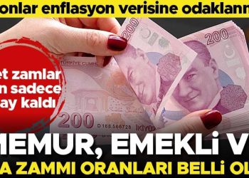 Son dakika… Memur, emekli maaşlarına artırım ile kira artış oranı aşikâr oldu