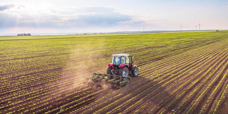 Tarım ve Orman Bakanlığı açıkladı: Çiftçi Kayıt Sistemi’ne kayıtlı alan 3 milyon hektar artacak